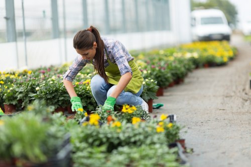Lawn and border garden maintenance in Enfield Highway