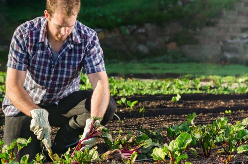 Low-carbon van used for sustainable garden collections