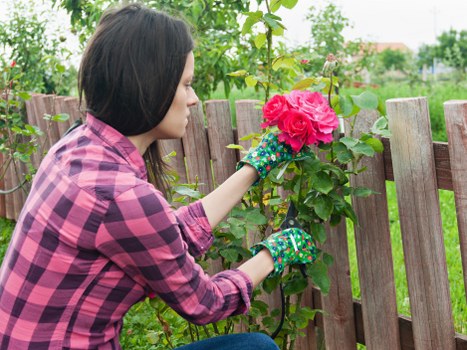 Outdoor garden planning and planting in Enfield Highway