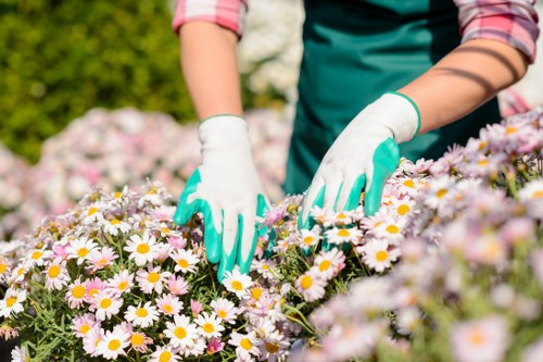 User control over cookie settings for Gardeners Enfield Highway