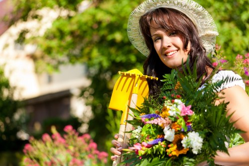 Low-maintenance planting and garden design in Enfield Highway
