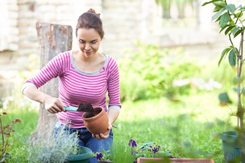 Well-maintained lawn care result in Enfield Highway