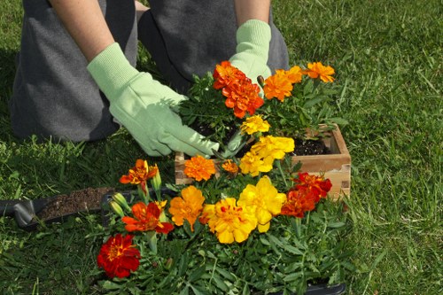 Staff using PPE during gardening maintenance in Enfield Highway