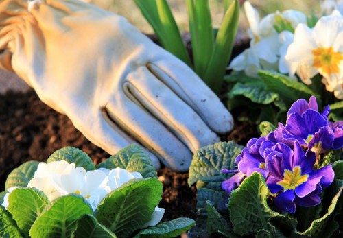 Free quote policy for local gardening services in Enfield Highway