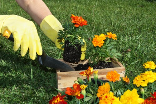 Local garden maintenance in Enfield Highway including lawn and hedge care