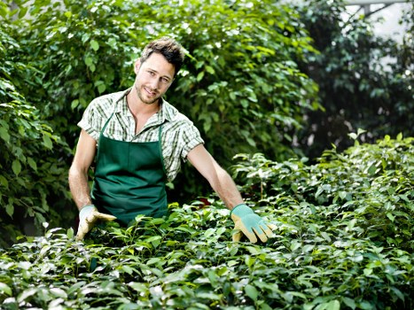 Transparent estimate process for garden maintenance and clearance