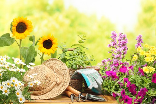 Experienced gardeners shaping borders and hedges in Enfield Highway