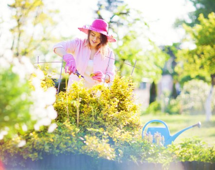 Safe handling of garden chemicals under a gardening health policy