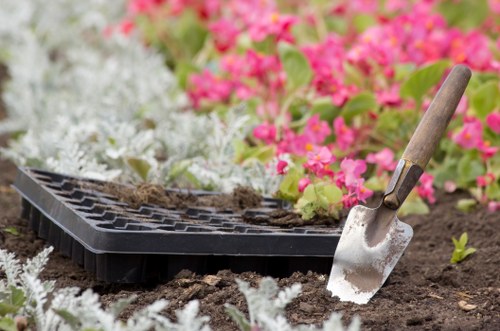 Closing image representing ongoing accessibility improvements for local gardening content