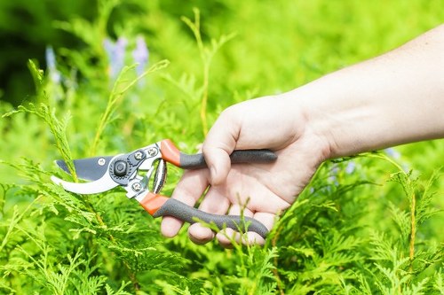 Supplier compliance and ethics overview for gardeners in Enfield Highway