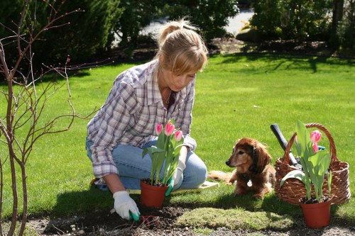 Well-kept Enfield Highway garden after professional gardening services