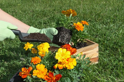 Seasonal garden upkeep in an Enfield Highway home garden